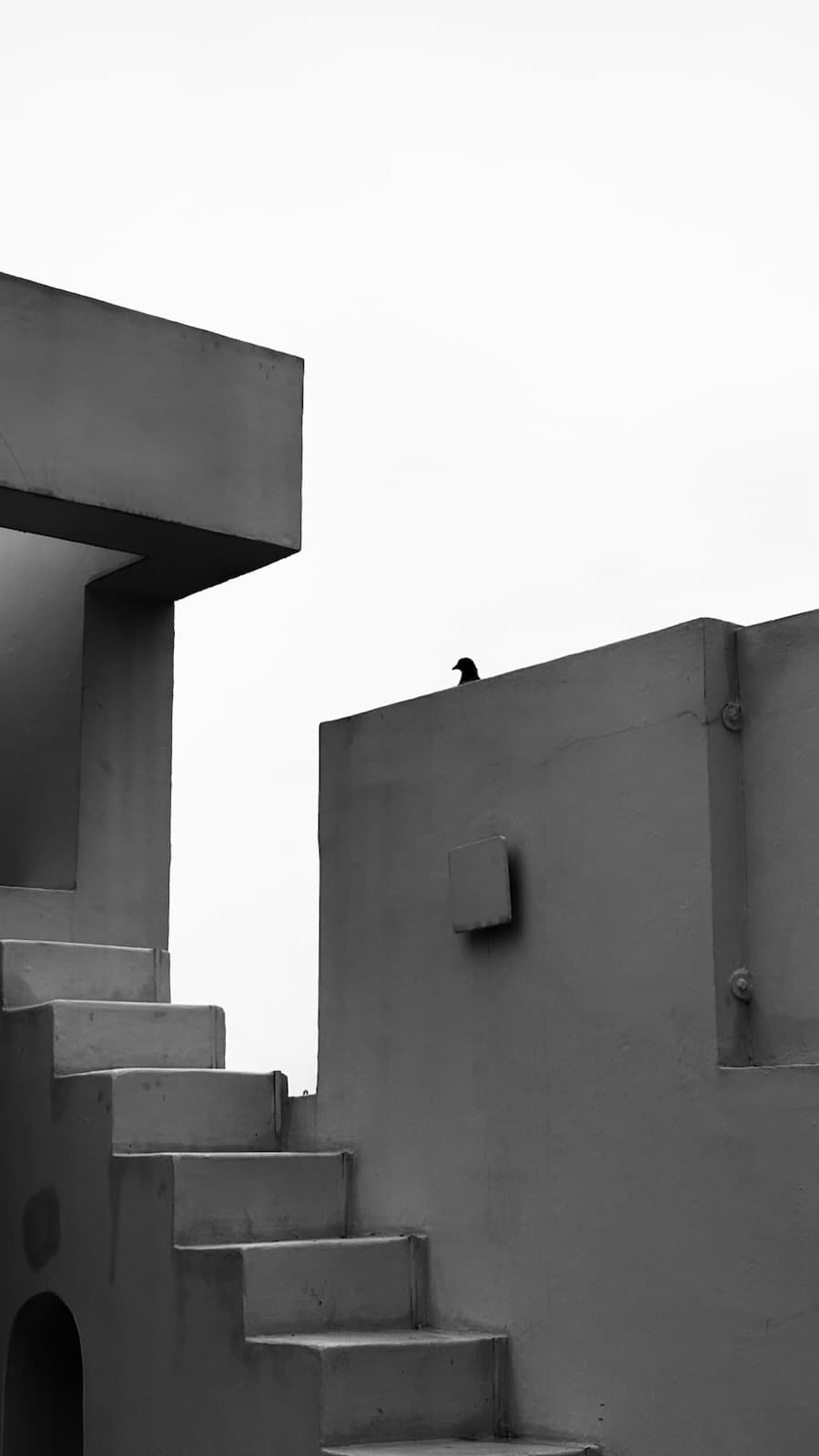 Stairs and a bird